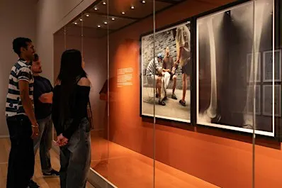 Curator’s Tour: Terraforming