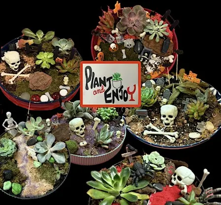 “Spooky Terrarium Workshop” Plant and Enjoy at Wyndridge Farm