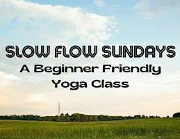 Slow Flow Sundays : A Beginner Friendly Yoga Class