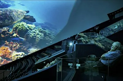 Nexus Film Festival