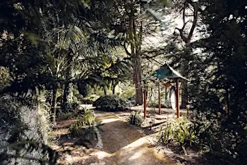 RECONNECT | Half-Day Breathwork Retreat in Sintra