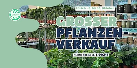 Großer Pflanzenverkauf - Zürich