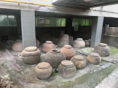 Visita guidata agli Horti di Domitia Lucilla