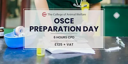 OSCE Preparation Day - Huntingdon