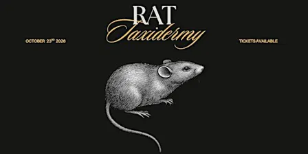 Rat Taxidermy Workshop