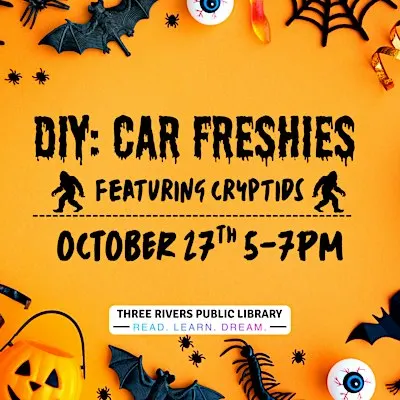Adult DIY Car Freshies