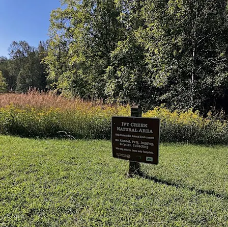 Guided Walk: Fall Season at Ivy Creek