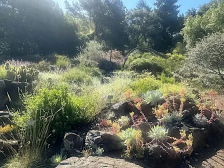 Exploring the Tilden Botanical Garden