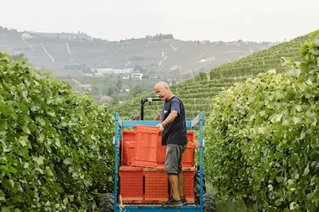 Giacomo Fenocchio Wine Dinner