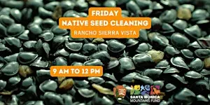 Native Seed Cleaning