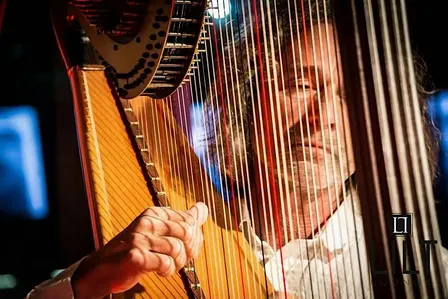 Moon-lite Concert Series: Scott Marischen Quartet