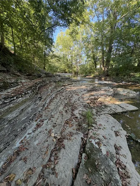 Creekside Fossil & Rock Walk