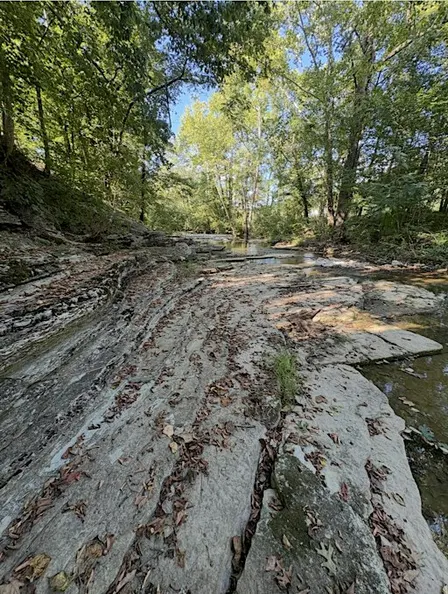 Creekside Fossil & Rock Walk