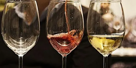 IMPARARE A DEGUSTARE IL VINO: LE BASI!