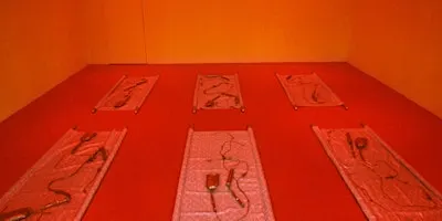 Traces and Temporalities: The Art of Rummana Hussain and Nasreen Mohamedi