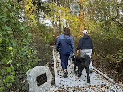 Fall Foliage Walk & Talk