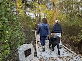Fall Foliage Walk & Talk