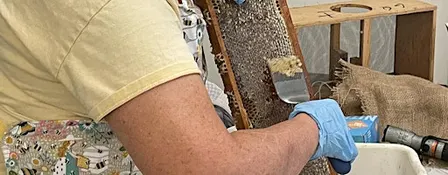 Honey Bottling Workshop with Beekeeper Helen Colhoun