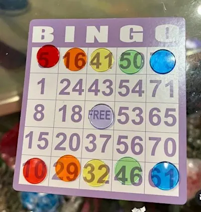 Houseplant Bingo