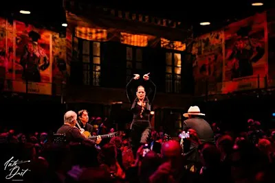 Flamenco Festero