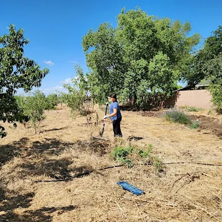 Yo'ville Community Garden and Farm Volunteer Orientation