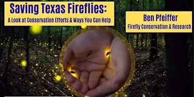 Saving Texas Fireflies: A Look at Conservation Efforts & Ways You Can Help.