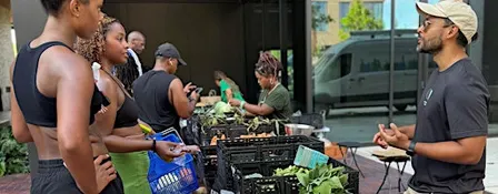 East River Farmers Market featuring Urban Harvest