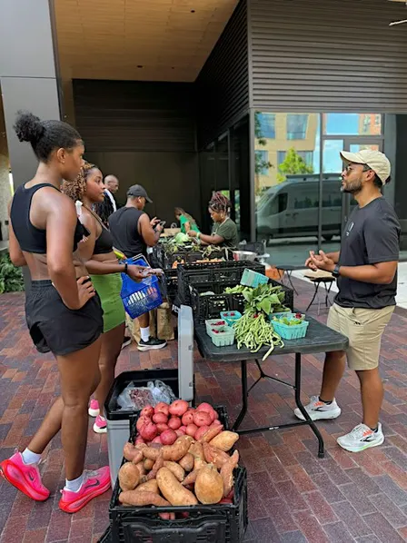 East River Farmers Market featuring Urban Harvest