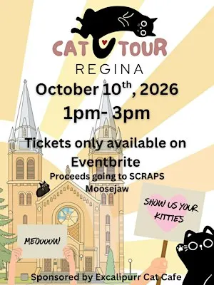YQR Cat Tour 2026