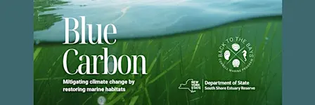 Stewardship Session: Marine Meadows Workshop, Hampton Bays