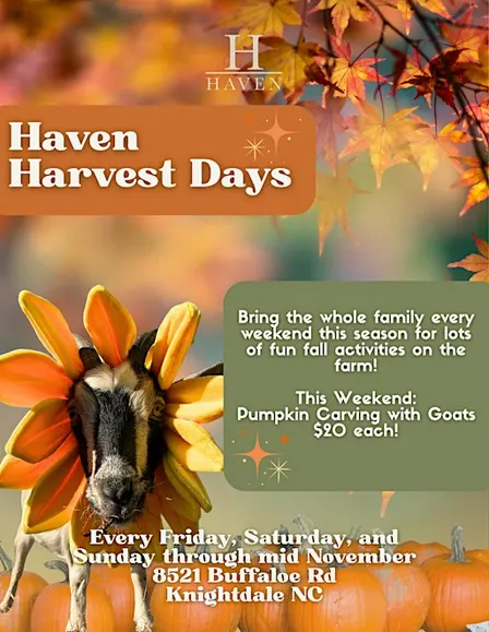Haven Harvest Days: Fall Family Fun on the Farm!