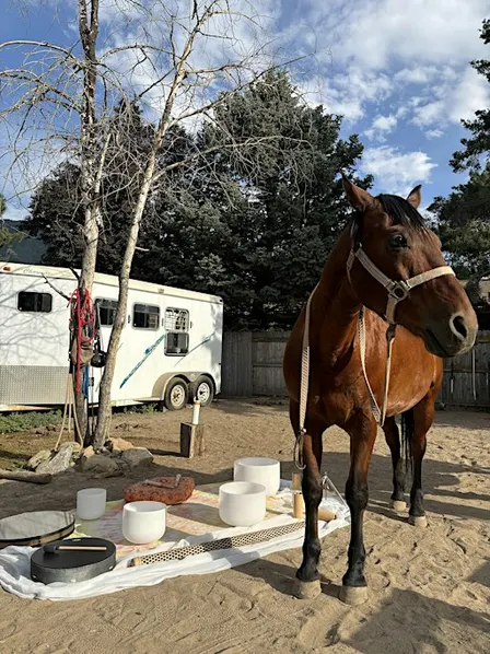 Sound Bath with Horses