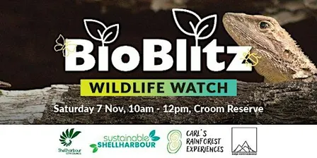 Wildlife Watch - BioBlitz@Croom 2026
