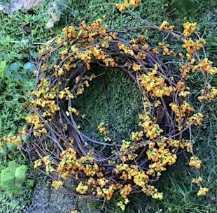 Artisan Japanese Bittersweet Wreath Class