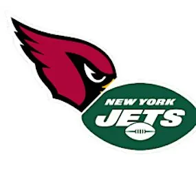 Ultimate Fan Experience: Arizona Cardinals vs New York Jets!
