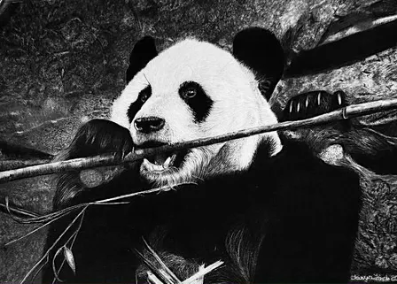 From LINE to LIFE: Black & White Art Exhibition