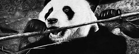 From LINE to LIFE:   Black & White Art Exhibition