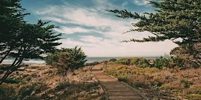 The Lighthouse Within
