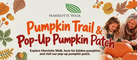 Pumpkin Trail & Pop Up Pumpkin Patch