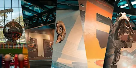 Visita guiada - Domingo 27/09