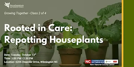 Growing Together: Rooted in Care