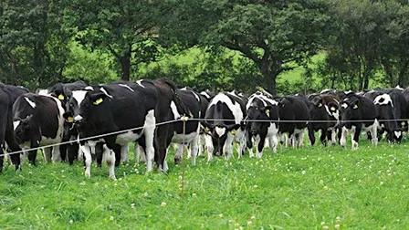 Infrastructure Unpacked: The Equipment I Need to Graze