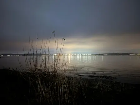 Connecting Moments :Litter Pick-ture Walk, South Queensferry