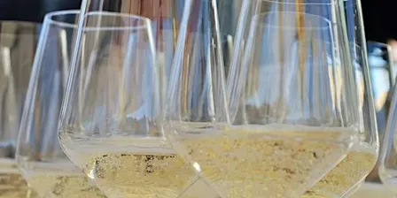 WINE CLUB | LE BOLLICINE ITALIANE