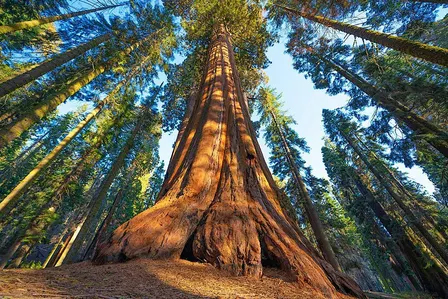 Breathing with our Ancestors