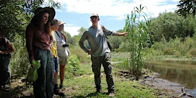 Eco-Friendly Foraging - Plants Walk / Wild Food Tasting & Drinks