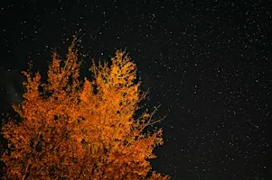 Follow Your Desire: Guided Meditation for the New Hunter Moon