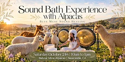 Sound Bath Experience with Alpacas!