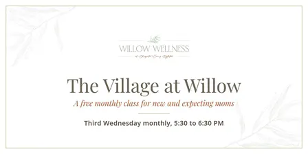 The Village at Willow