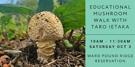 Educational Mushroom Walk
